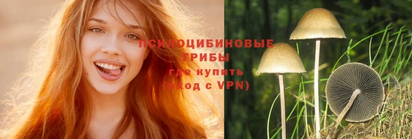 прущая мука Заводоуковск