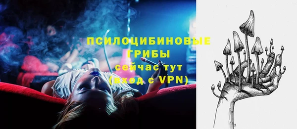 шишки Ельня