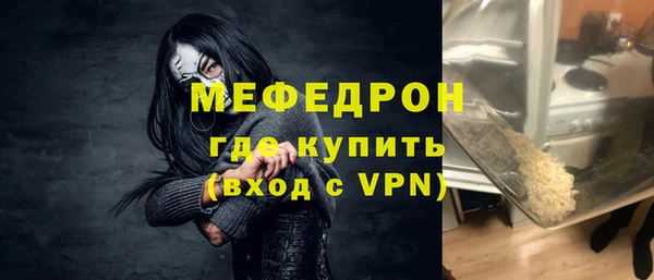 шишки Ельня