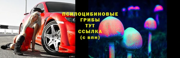 гидропоника Елизово
