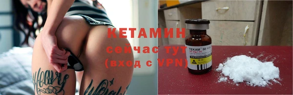 шишки Ельня