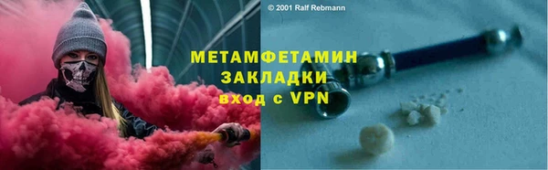 шишки Ельня
