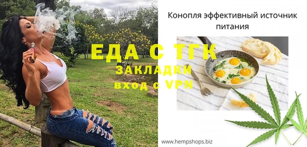 шишки Ельня
