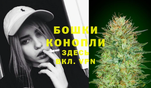 шишки Ельня