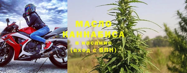 шишки Ельня