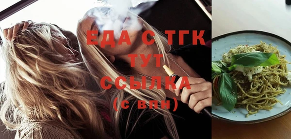 шишки Ельня