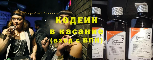 шишки Ельня